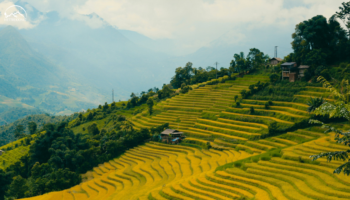 Ruộng bậc thang mùa lúa chín